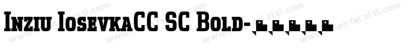 Inziu IosevkaCC SC Bold字体转换